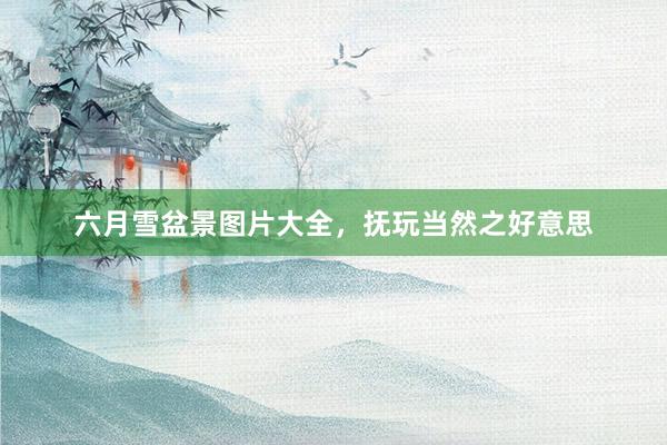 六月雪盆景图片大全，抚玩当然之好意思