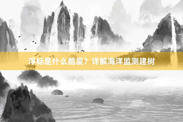 浮标是什么酷爱？详解海洋监测建树
